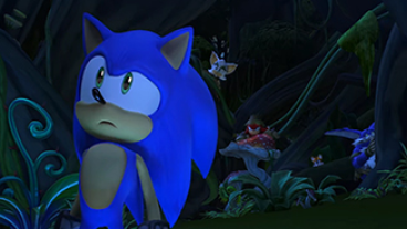 Barking Up The Wrong Tree